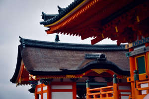 fushimi inari taisha