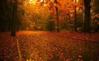 autumn