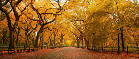 autumn