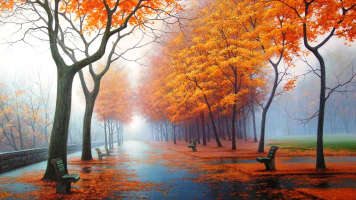 autumn winter