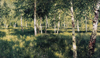birch groove oil on canvas