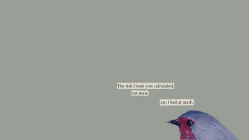 bird math