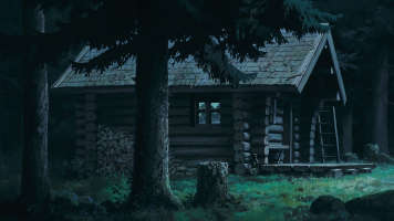 cabin