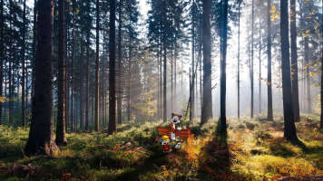calvin n hobbes pine trees