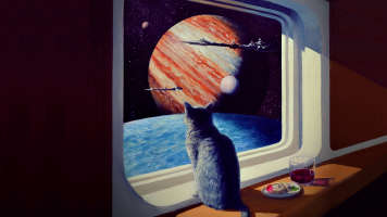 cat staring space