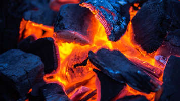firewood
