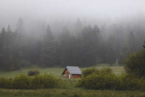 foggy cabin