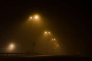 foggy lights