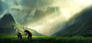 rice fields