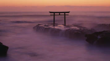 torii fog