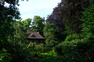 zurihac 2022 forest house